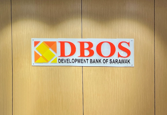 DBOS ready to finance strategic projects.webp